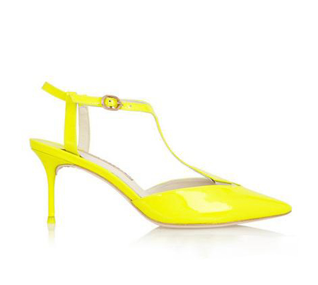 Sophia Webster ӫƤ T ִиЬ