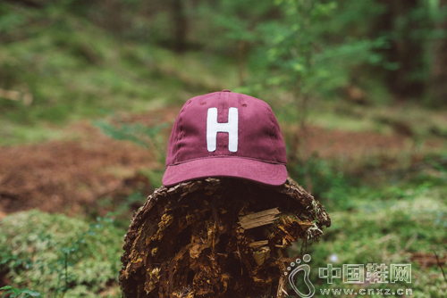 Herschel Supply Co. x Ebbets Field Flannels (lin)ñϵ