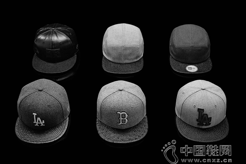 New Era 2014  Black Ice ϵ