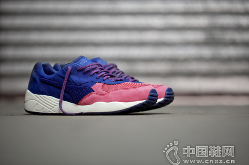 BWGH  PUMA 2014ﶬ(lin)Ьϵ