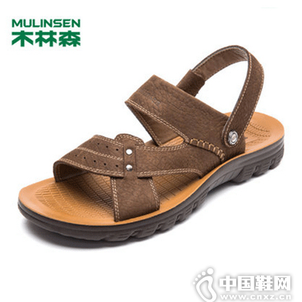 2015�괺������Ь��Ϯ ľ��ɭ�������������