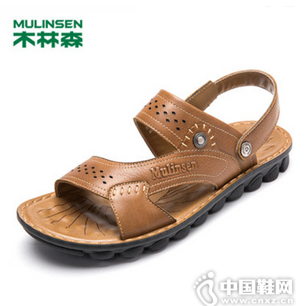 2015�괺������Ь��Ϯ ľ��ɭ�������������