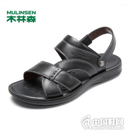 2015�괺������Ь��Ϯ ľ��ɭ�������������