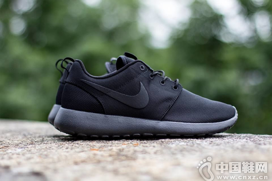 ˫Ϳ˵ roshe run
