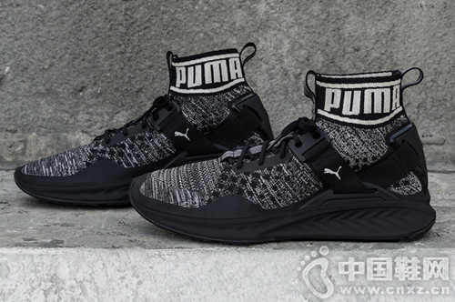 PUMA ƳȫЬ Ignite evoKNIT