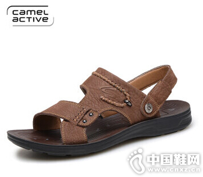 ն(camel active)2016ļ¿