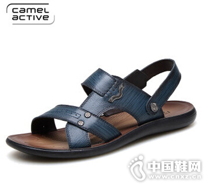 ն(camel active)2016ļ¿