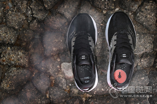 Saucony(lin)PremierͬNight StikeЬ