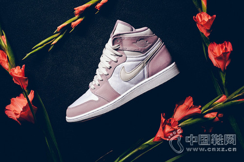 Ů - Air Jordan 1 High ȫɫOӋPlum Dog